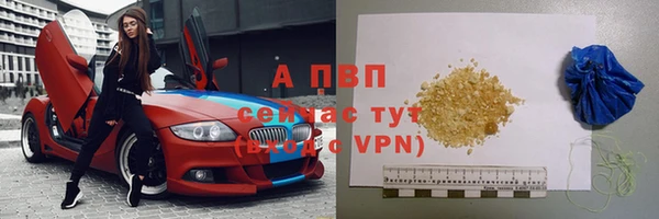 крисы Богданович