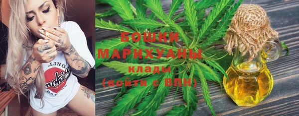 дмт Бронницы