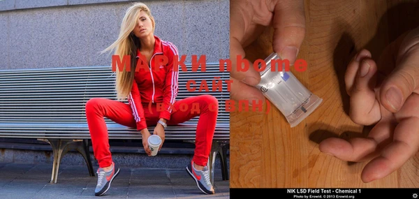 индика Балахна