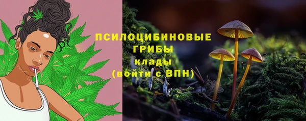 дмт Бронницы