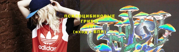крисы Богданович