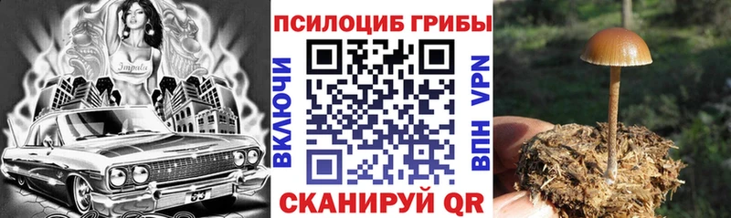 Галлюциногенные грибы мухоморы  Обь 
